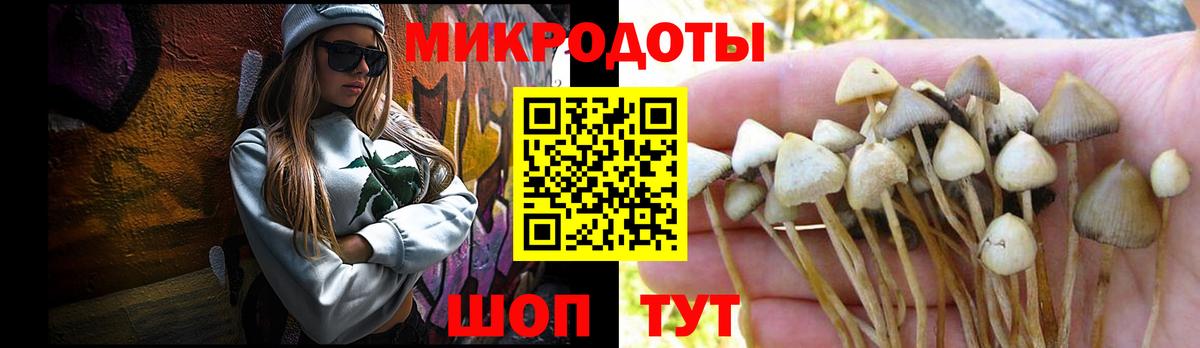 Зима  Галлюциногенные грибы прущие грибы  закладки  Вход с VPN  Галлюциногенные грибы Psilocybe 